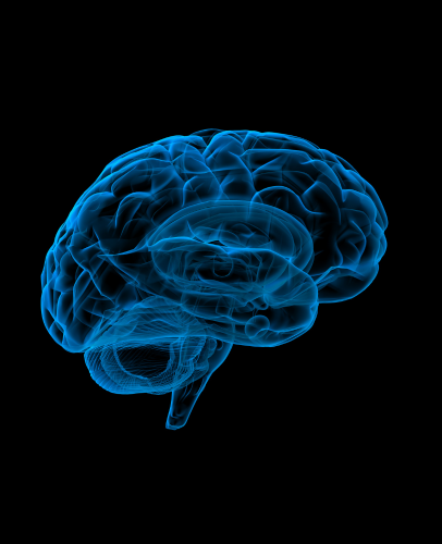 Default Image