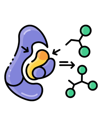 Default Image