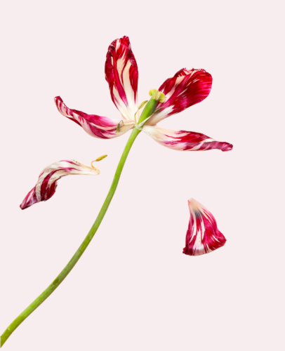Default Image