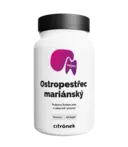 Ostropestřec mariánský