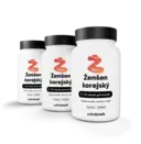 Ženšen korejský
