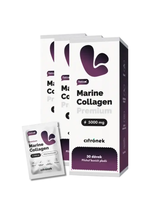 30-denní dávkovač Mořský kolagen Naticol®, 5000mg, lesní plody - 3x30 sáčků